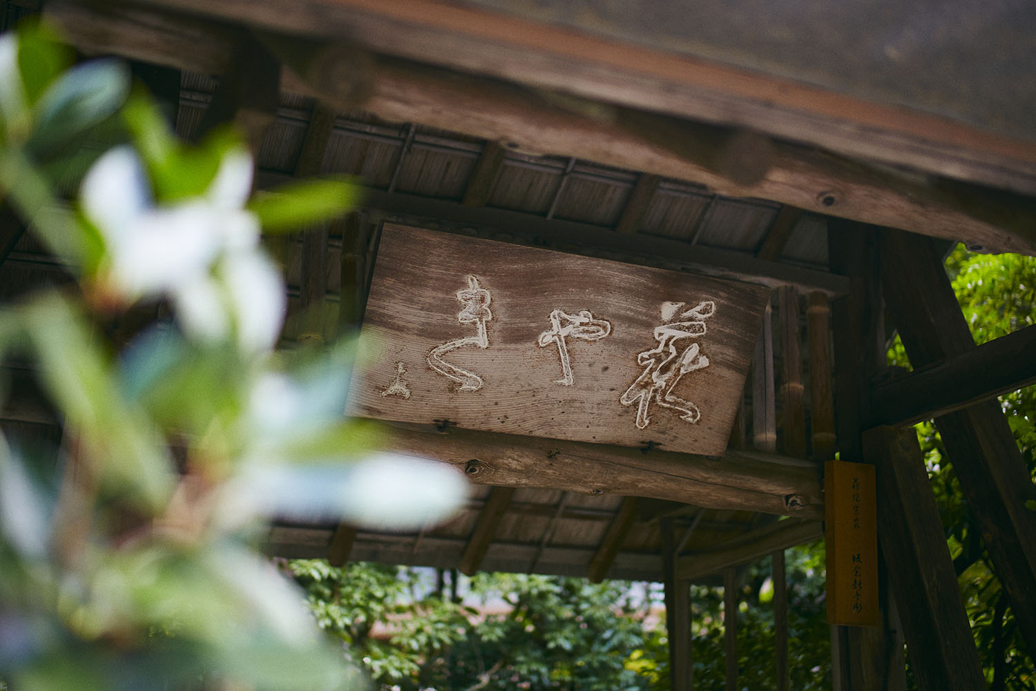 窯の入口に掲げられた木の看板
